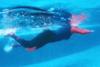 Belajar Berenang