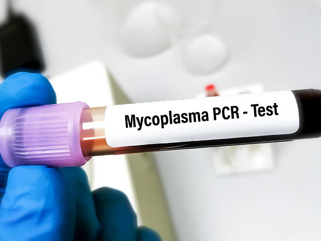 Mycoplasma Pneumoniae Treatment