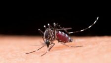Tingginya kasus malaria di Indonesia merupakan masalah kompleks yang masih sulit dieliminasi. (Foto: Freepik)