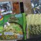 Otoritas Taiwan temukan residu pestisida pada produk Indomie, BPOM minta bijak. (Foto: fda.gov.tw)