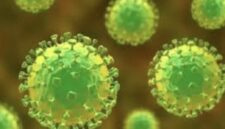 Kementerian Kesehatan memperkuat kewaspadaan nasional terhadap potensi masuk dan penularan Penyakit Virus Nipah. (Foto: ilustrasi)