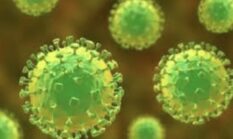 Menkes Pastikan Virus Nipah Belum Ditemukan di Indonesia