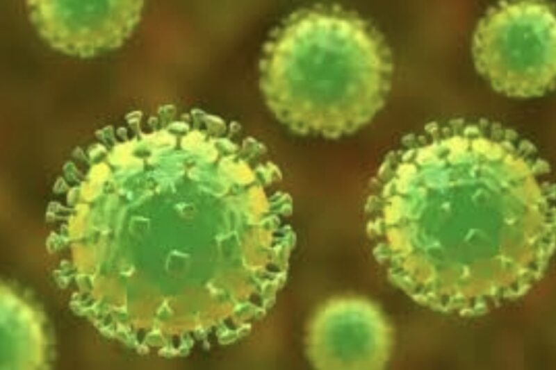 Kementerian Kesehatan memperkuat kewaspadaan nasional terhadap potensi masuk dan penularan Penyakit Virus Nipah. (Foto: ilustrasi)