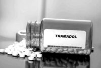 BPOM ingatkan risiko tramadol: nyeri teratasi, tapi efek high bisa muncul bila disalahgunakan. (Foto: Dok. BNN)
