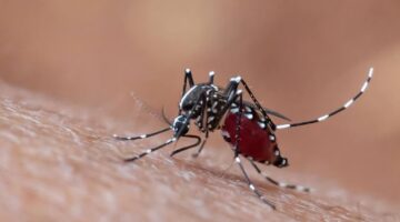 Inovasi pengendalian nyamuk menjadi harapan baru untuk menekan ancaman dengue di Indonesia. (Foto: Freepik)