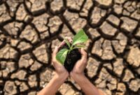 Anak-anak perlu mendapat perhatian lebih saat cuaca ekstrem dan kualitas udara memburuk akibat kondisi El Nino. (Foto: Pexels)