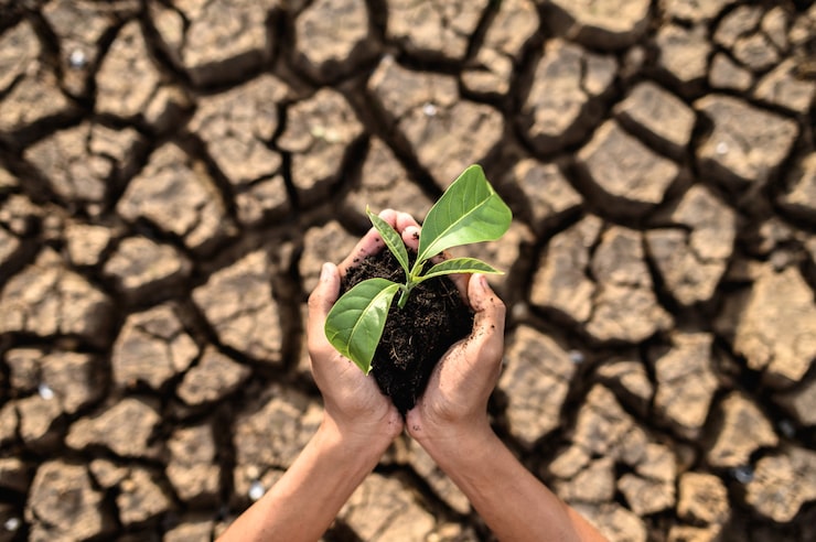 Anak-anak perlu mendapat perhatian lebih saat cuaca ekstrem dan kualitas udara memburuk akibat kondisi El Nino. (Foto: Pexels)